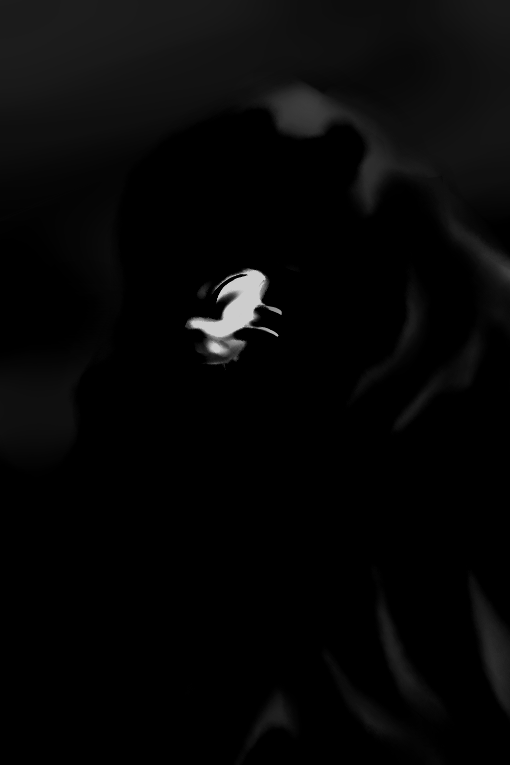 1309c5b927b906e51c81127e55c23f0ceafa33e4.png